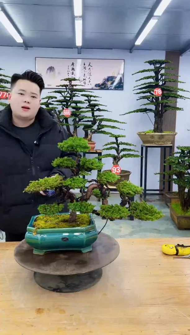 以实际为准000000