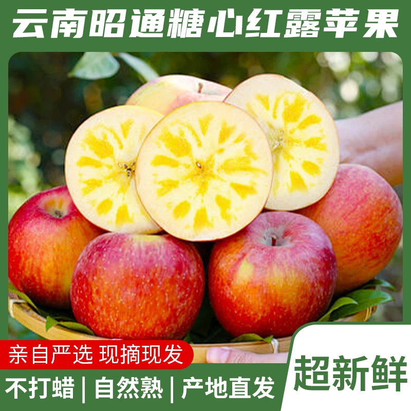 正宗云南昭通糖心苹果原产地直发丑苹果昭通苹果