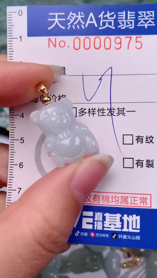 【闪购商品】翡翠颈饰未镶嵌00000975