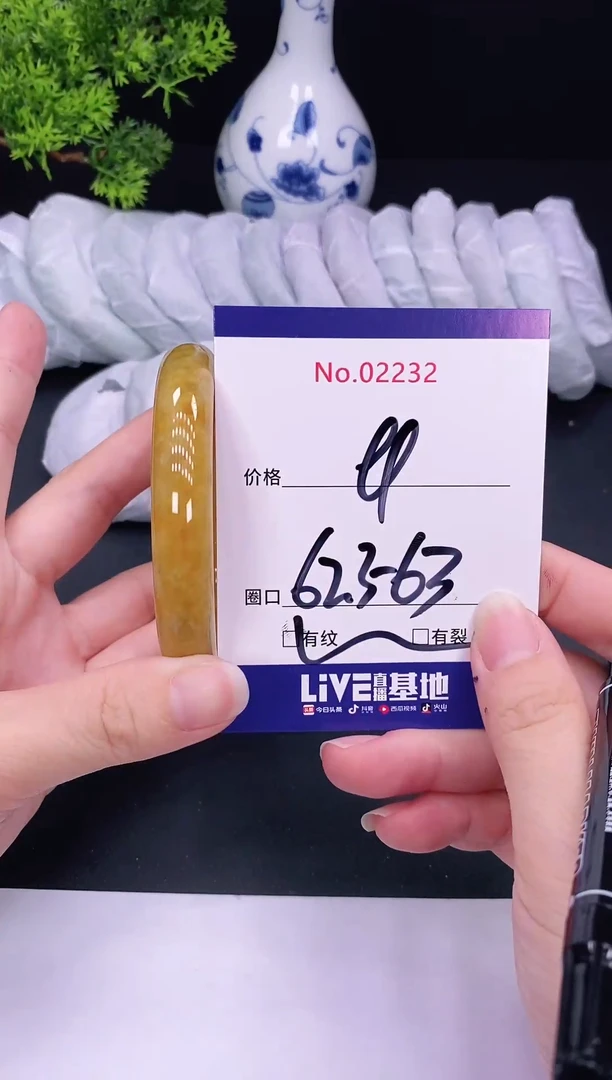 未镶嵌手镯翡翠2232