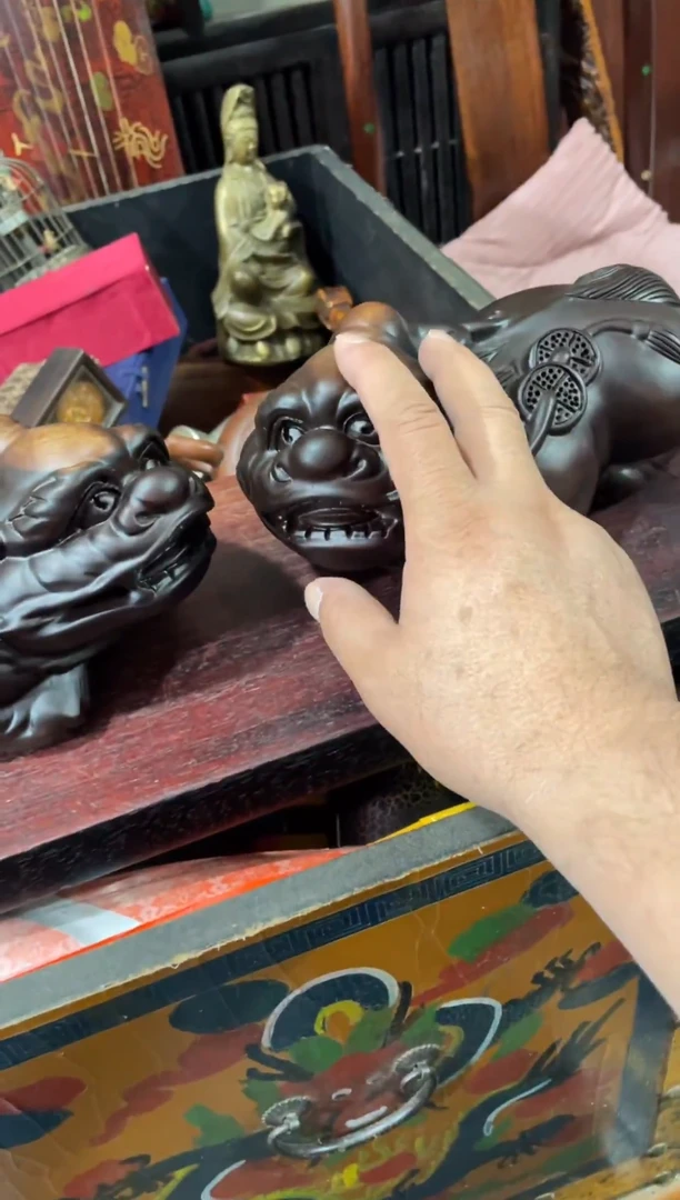 瓷片主播推荐精选好物