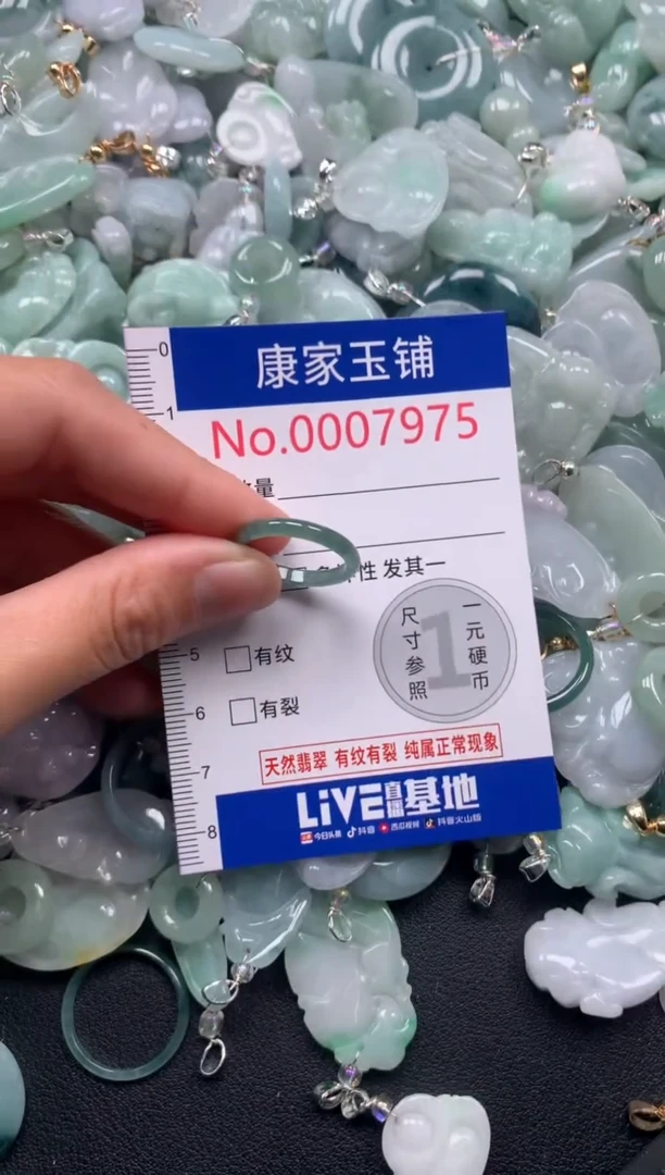 颈饰未镶嵌翡翠7975