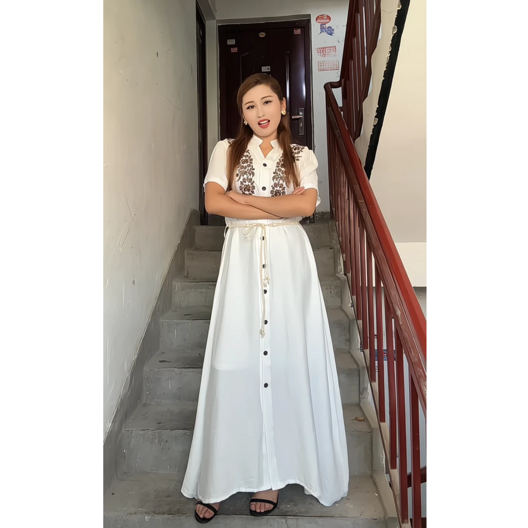 1037民族风刺绣通勤日常上班女装连衣裙