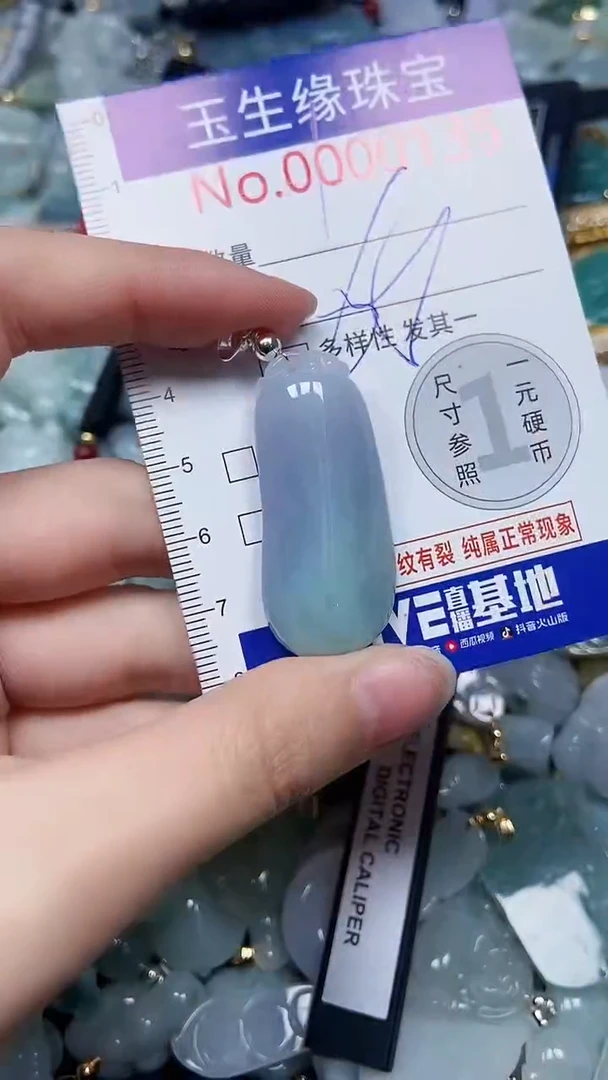 【闪购商品】翡翠颈饰未镶嵌闪购00000135