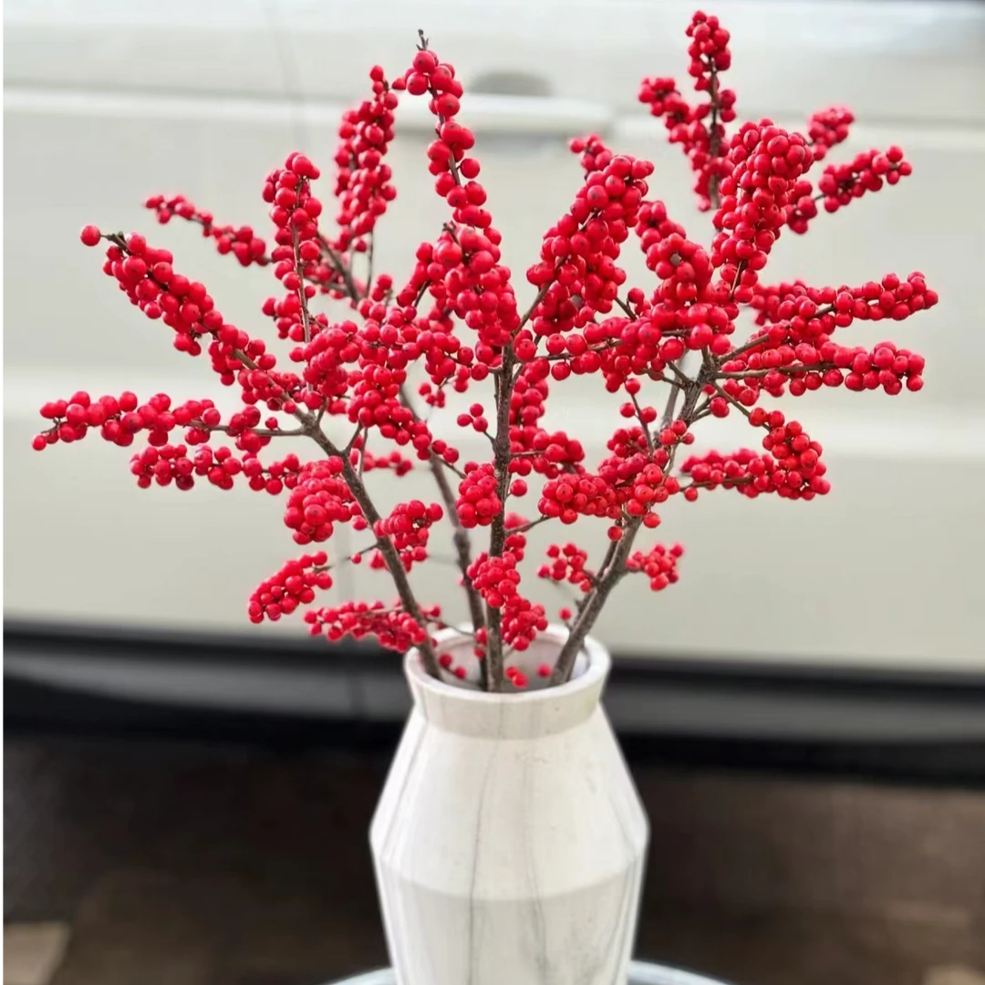 【三锋花卉】A级70cm年宵花红果果--北美冬青
