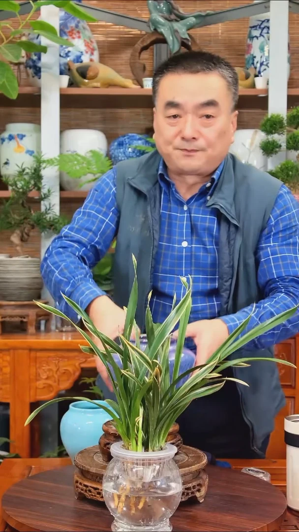 无花朵E****尽水之韵水培千金兰