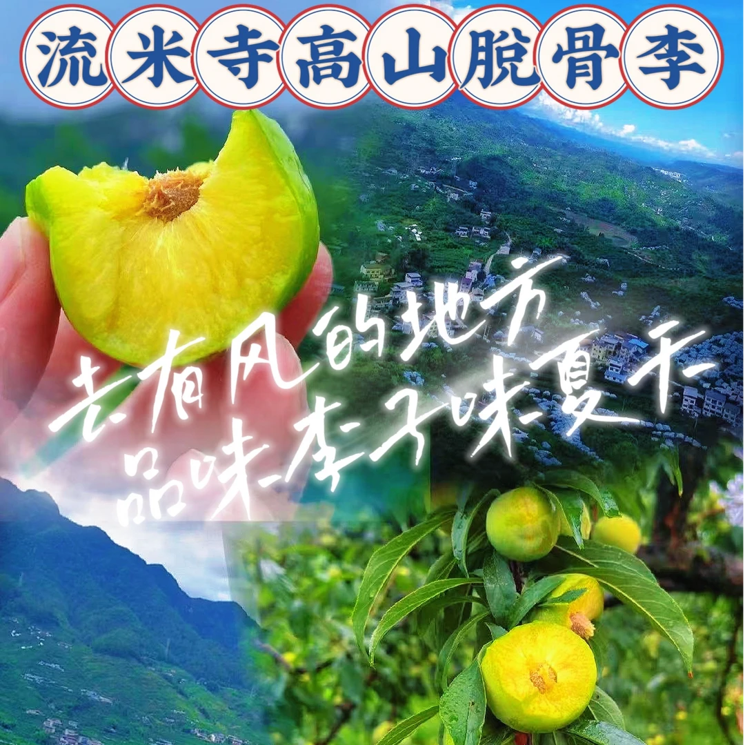【顺丰包邮】正宗四川流米寺脱骨脆李冰糖李子蜜脆李青脆李脆甜