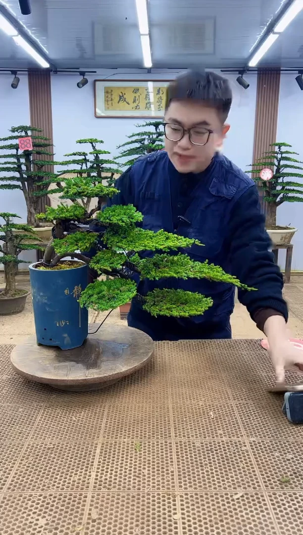 无花朵000000000000