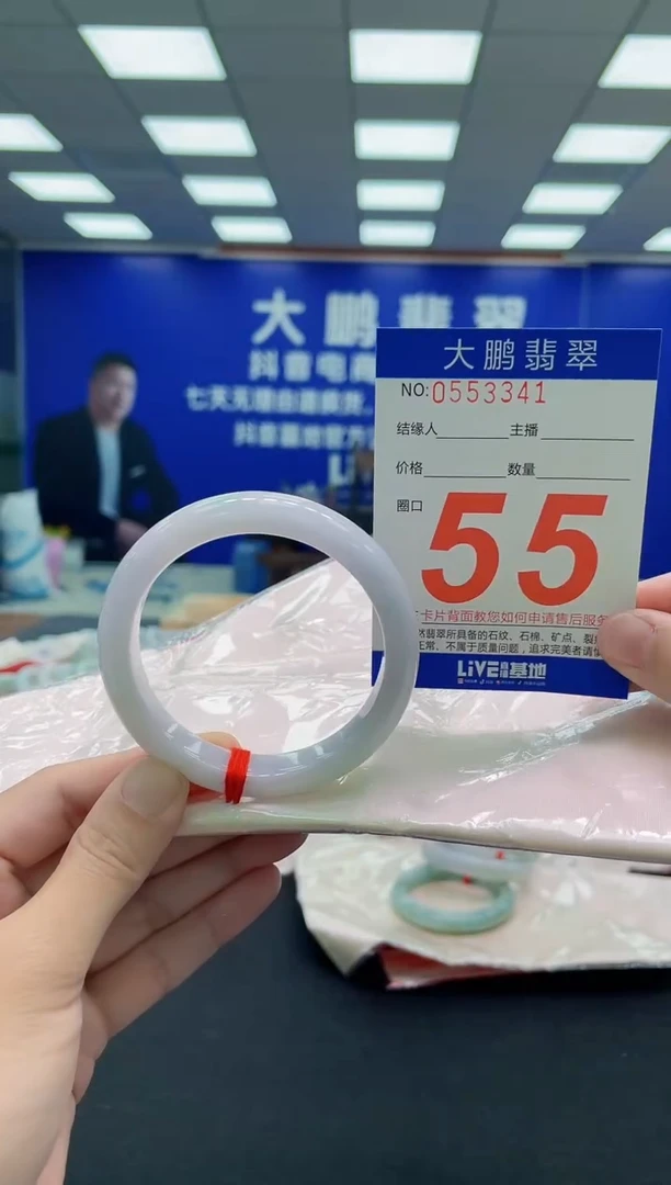 未镶嵌手镯翡翠AAAAAAAAA