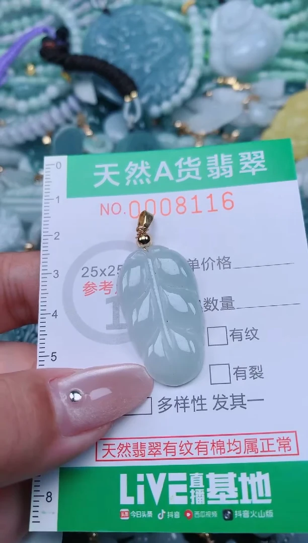 翡翠未镶嵌颈饰.0008116