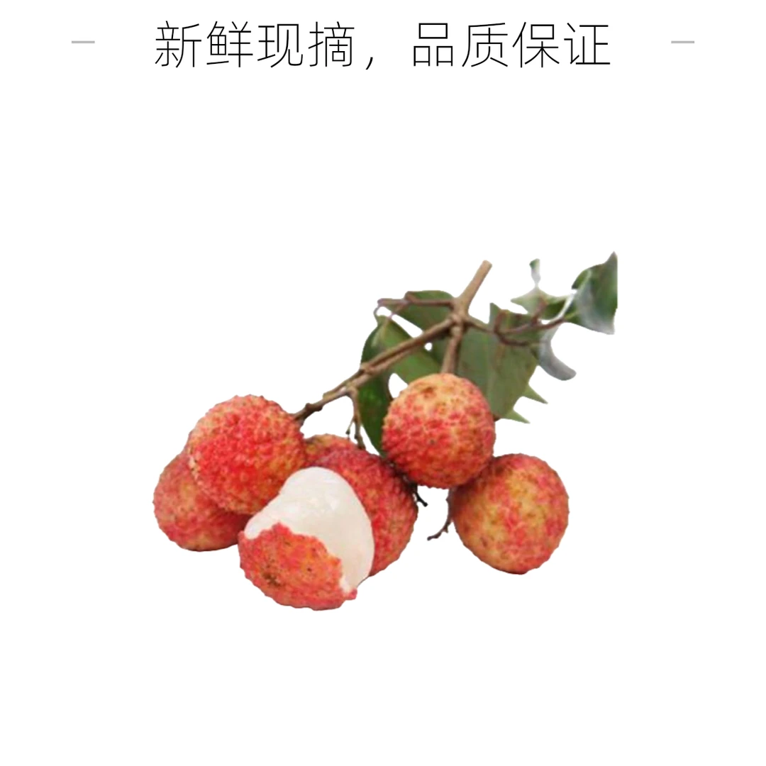 白糖罂荔枝 新鲜多汁荔枝同城送