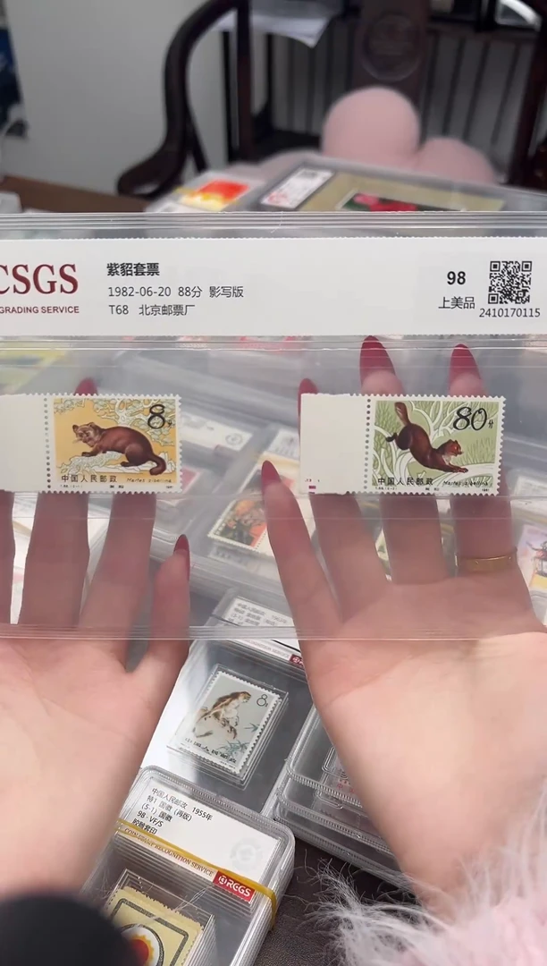 【闪购商品】T68 紫貂 边纸 封装评级