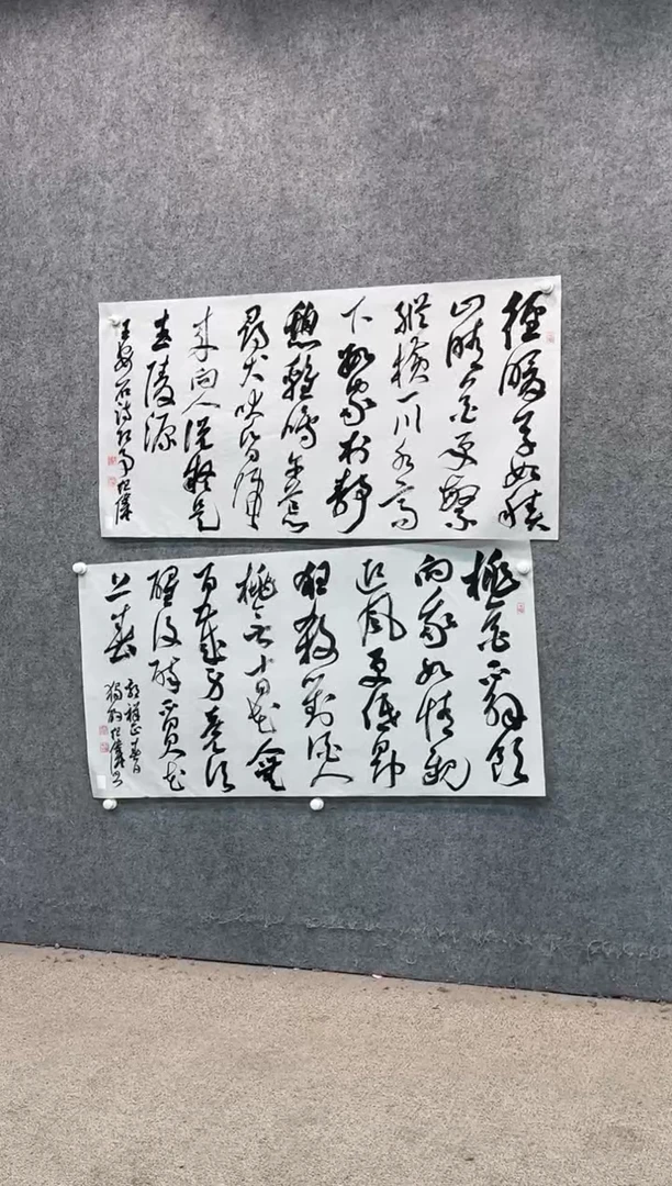 【闪购商品】书法pmw不二轩旗舰店书法JW16