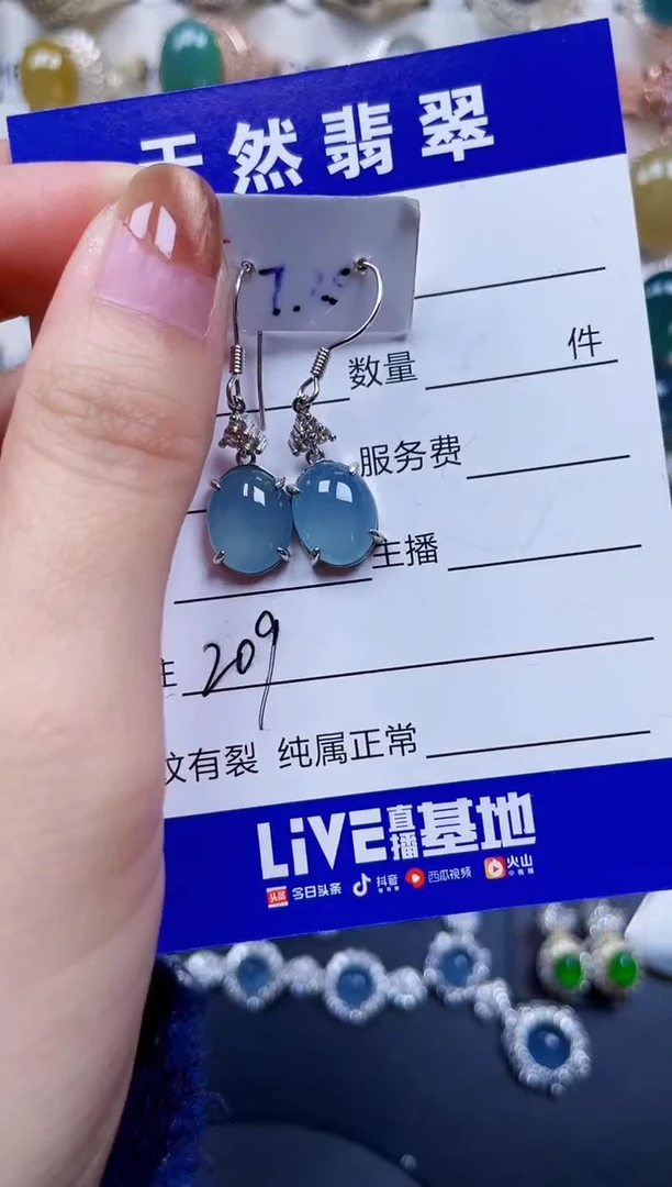 银S925镶嵌翡翠耳饰209