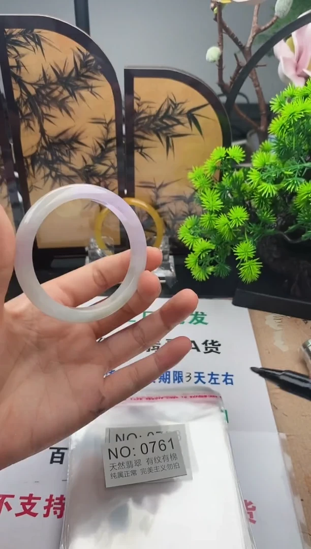 玉翡镯一物一拍11