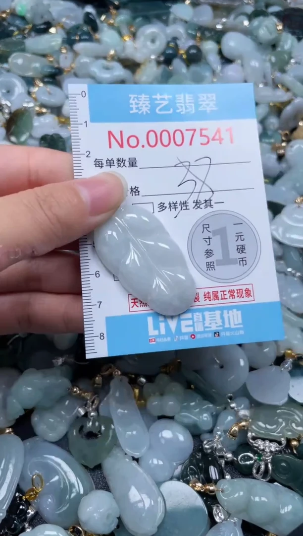 颈饰未镶嵌翡翠7541