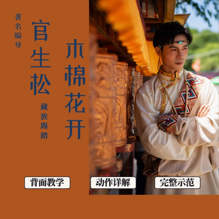 藏族踢踏舞《木棉花开》舞蹈解析/官生松老师