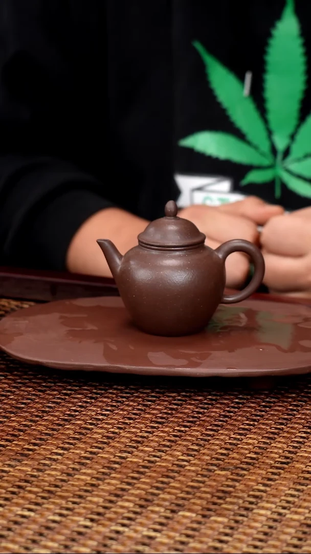 茶壶紫砂汀禾紫砂