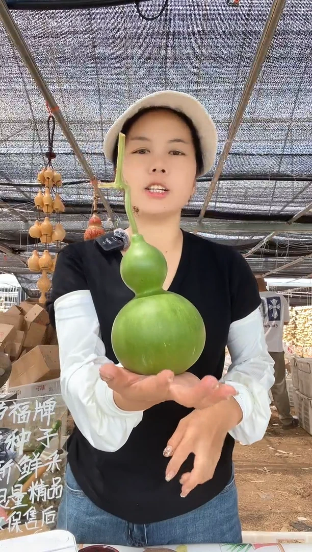 891天然葫芦摆件 一物一拍龙头不保售后