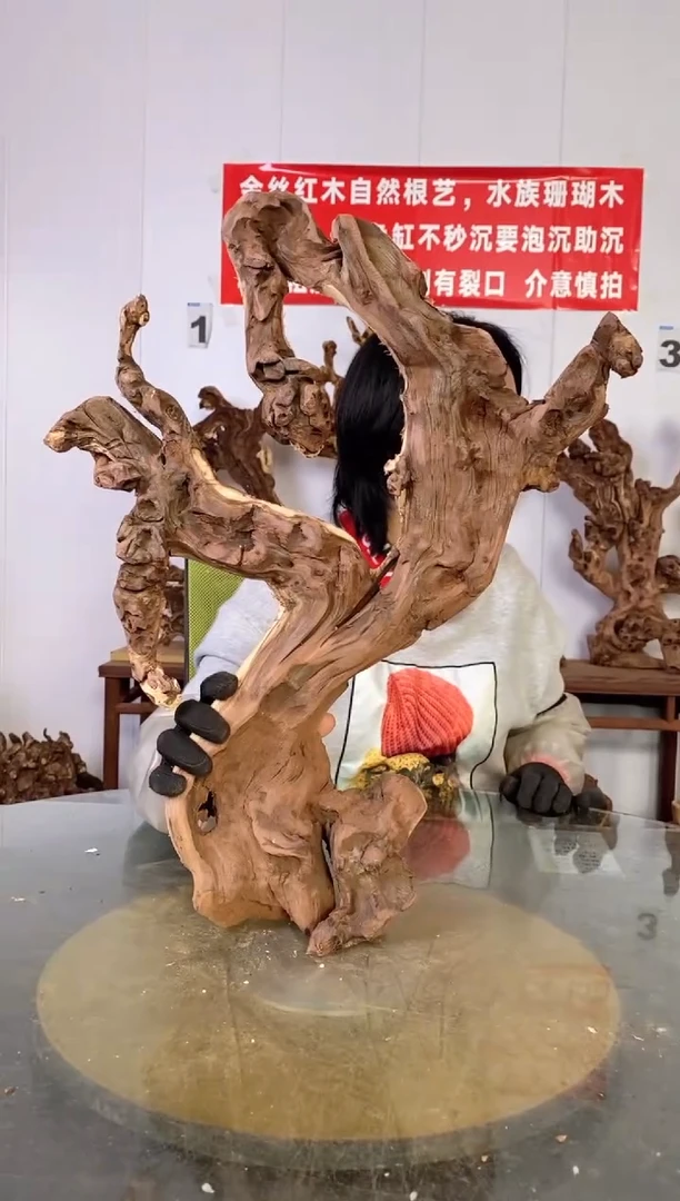 【闪购商品】木50枯树摆件 粗磨粗加工半成品 毛料