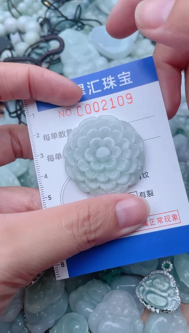 颈饰未镶嵌翡翠2109