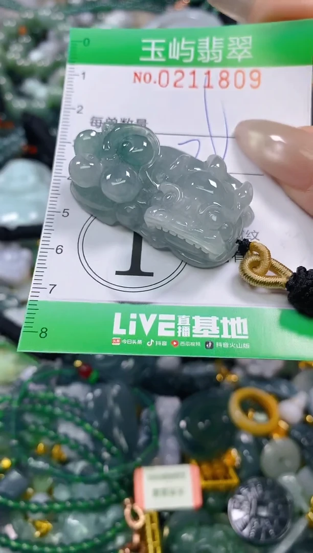 颈饰未镶嵌翡翠闪购0211809