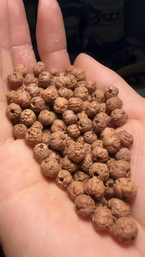 手串金刚菩提非全品原桩佛手散籽7-8mm一份一百颗