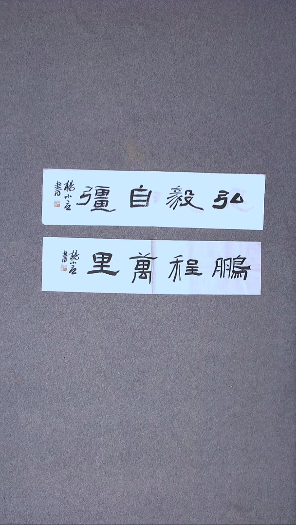 书法 杨小立 河南南阳69*17*2一平尺两张 宋一单