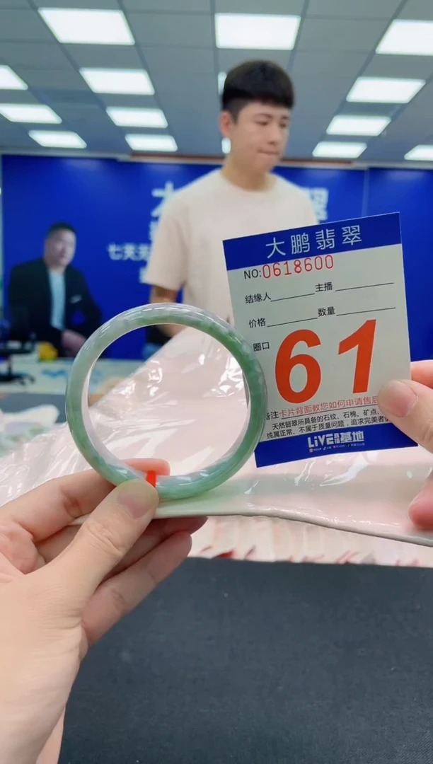 未镶嵌手镯翡翠AAAAAAAAA