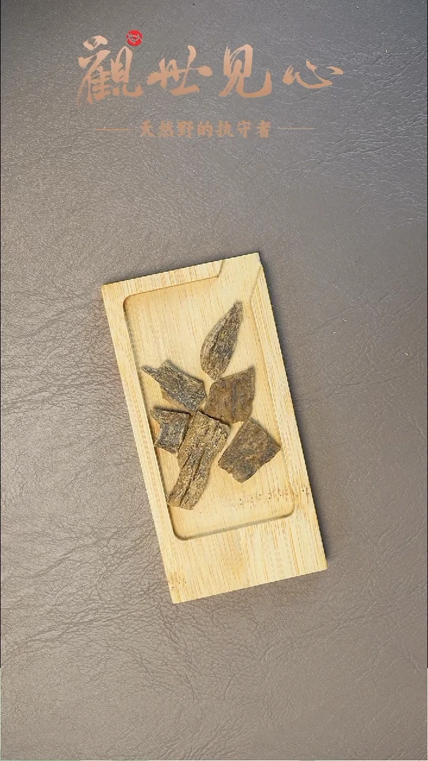 沉香沉香碎屑斯里兰卡红土  1g