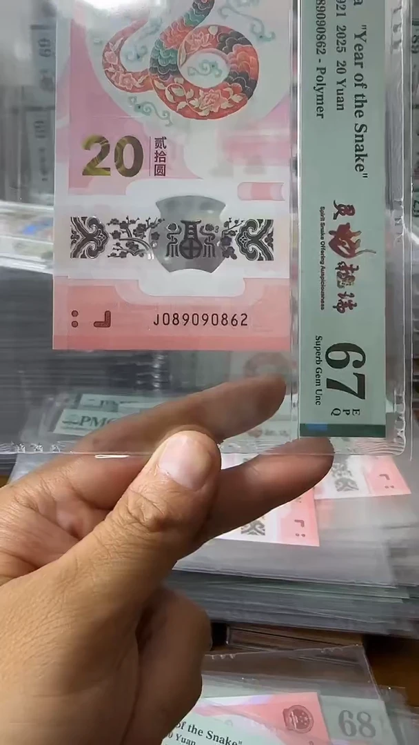 塑料089090862-蛇钞单张