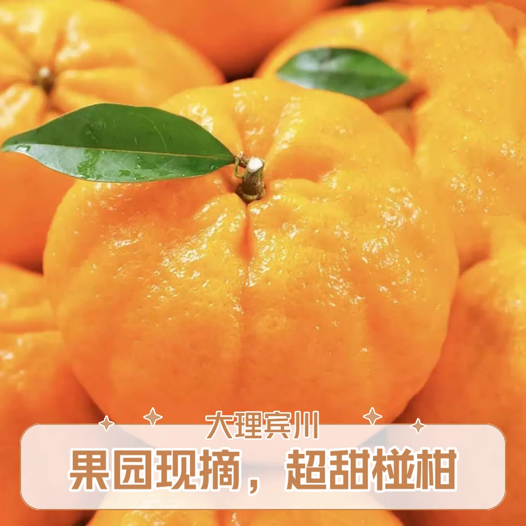 正宗云南椪柑新鲜桔子当季水果现摘整箱产地直发