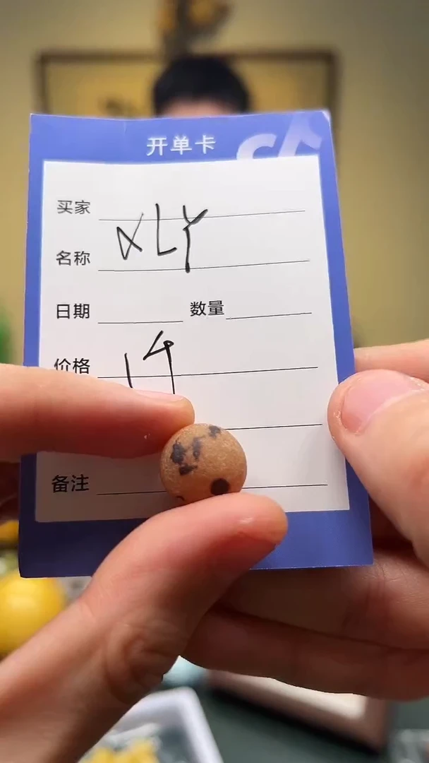 【闪购商品】菩提根/象牙果把件菩提根 单株一颗