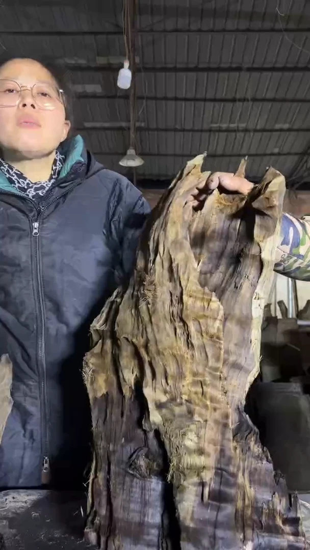 金丝楠点**金49金丝楠小叶桢楠原材料