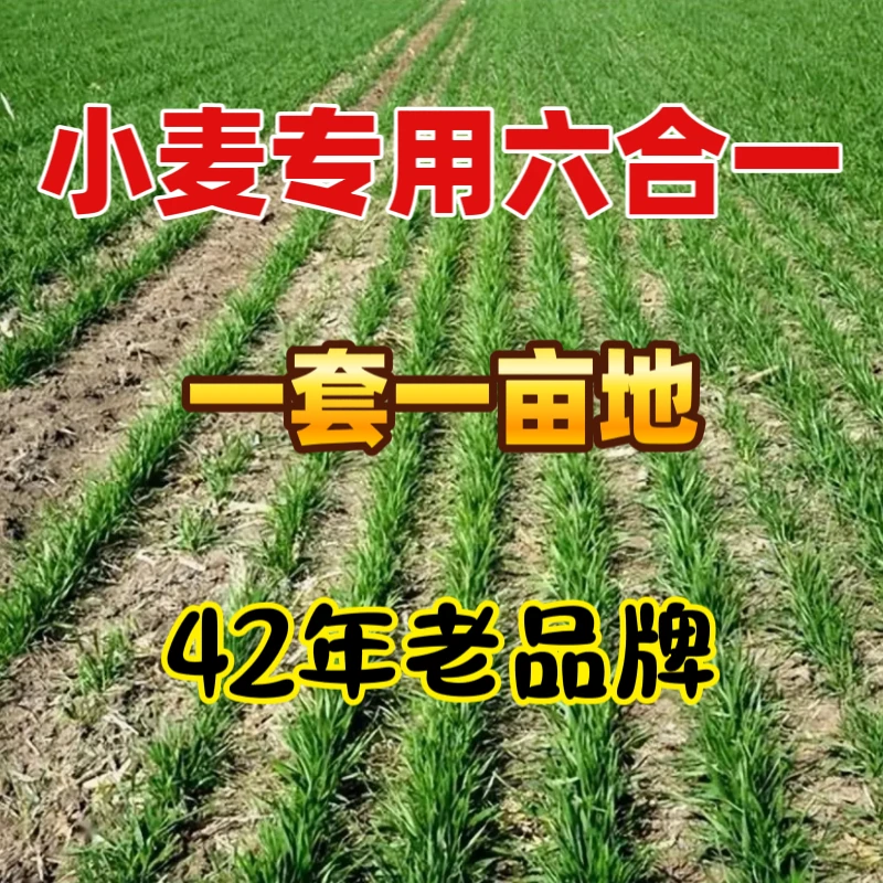【春耕补贴】小麦苗后专用禾阔双打水溶强渗透小麦田专用水溶肥