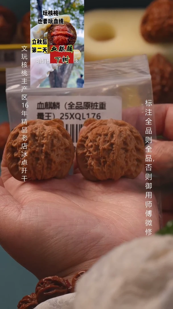 把件文玩核桃41.5血麒麟全品8号