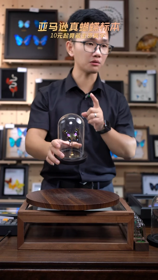 玫瑰青凤蝶小号玻璃罩