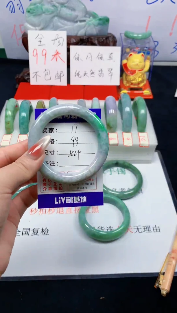 未镶嵌手镯翡翠17