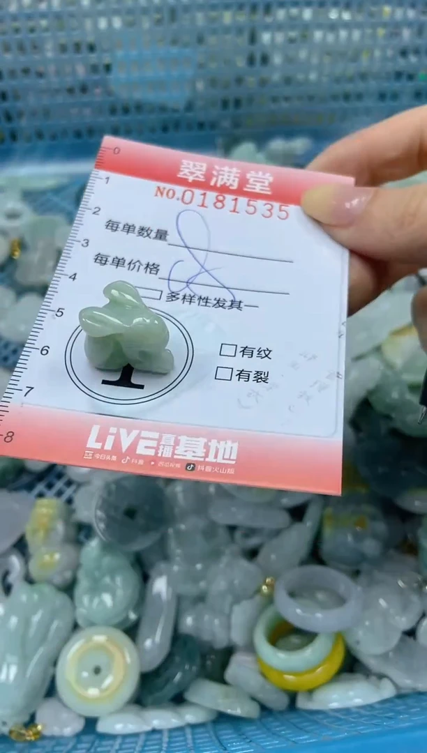 颈饰未镶嵌翡翠闪购0181535
