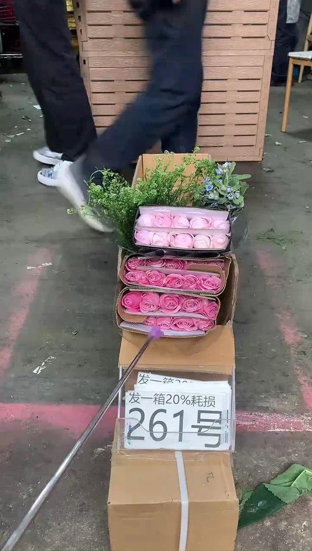 261号♥含20%耗损发一箱