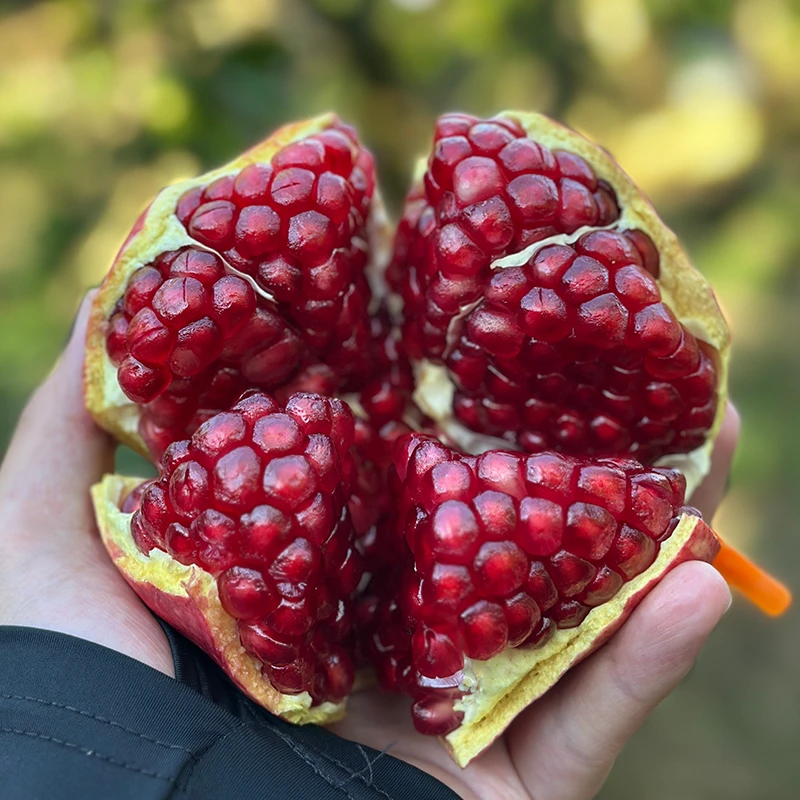 四川会理软籽石榴4.5斤单果250-650g