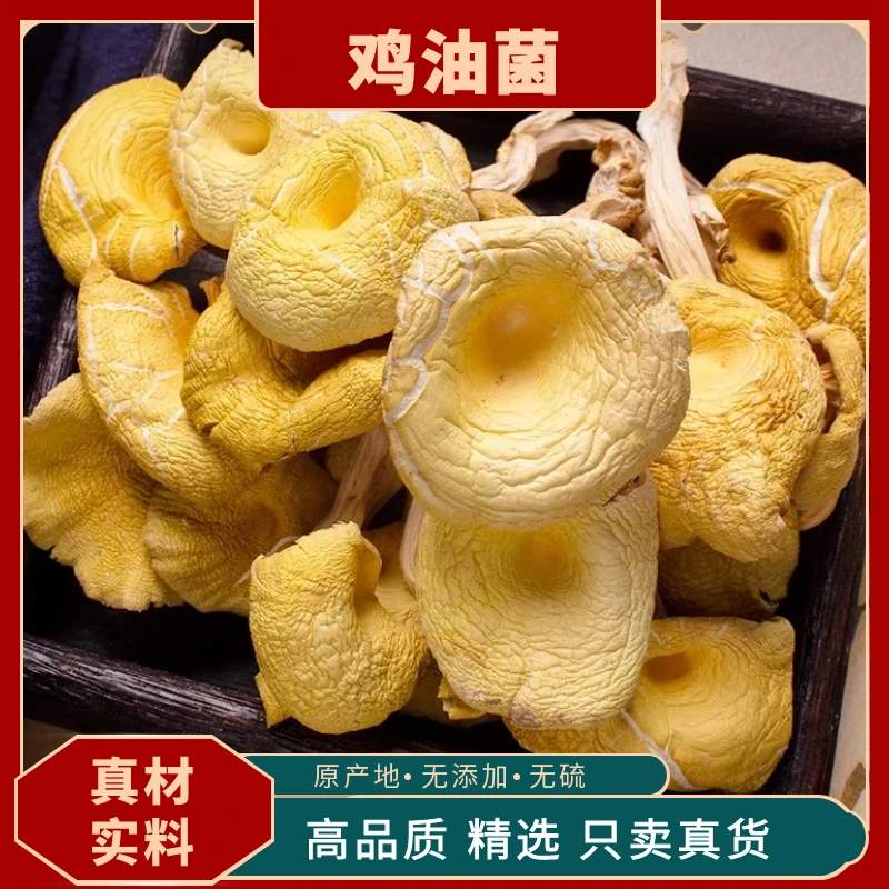 新鲜鸡油菌干货黄金菇丝菌榆黄菇食用菌菇煲汤食材野生黄丝菌茯苓