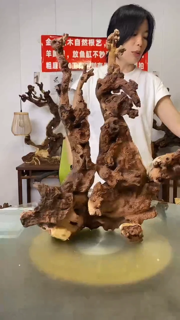 香榧木金丝红木 羊蹄甲