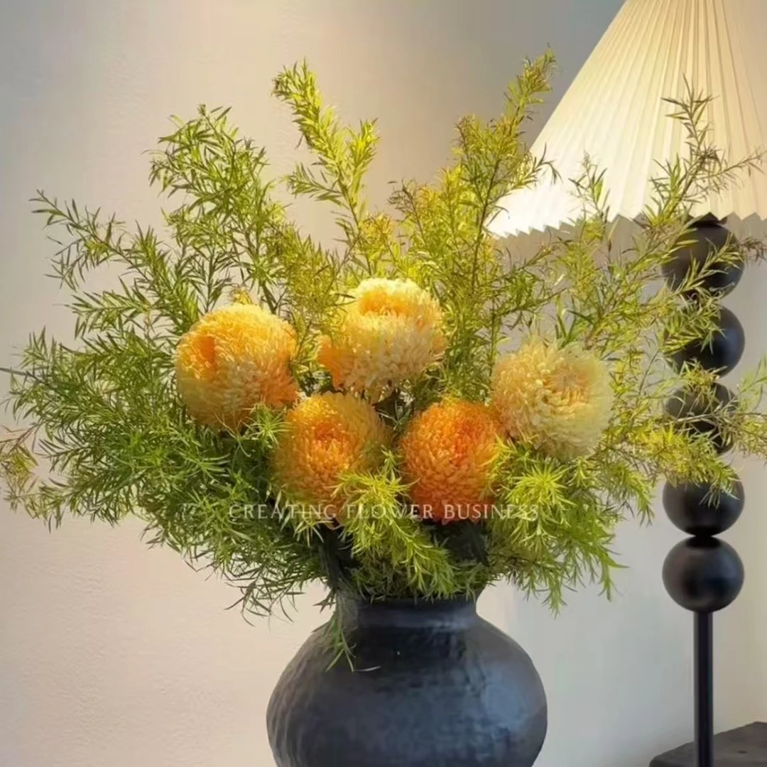 一花一木【富贵牡丹菊花束花束】花期长 好养护 发顺丰包邮