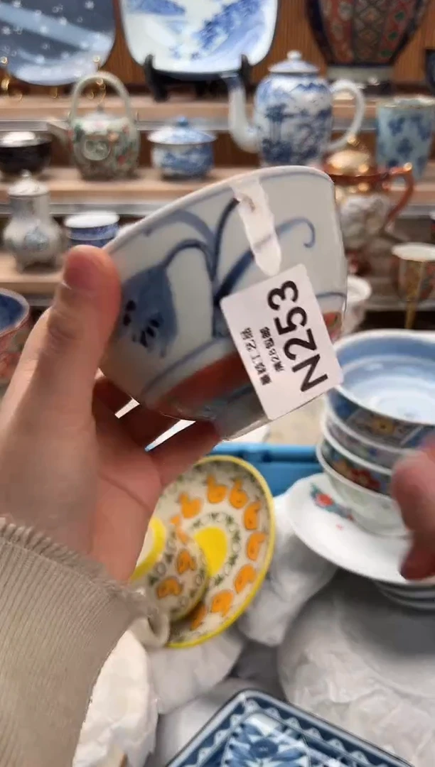 瓷片莫*?253N