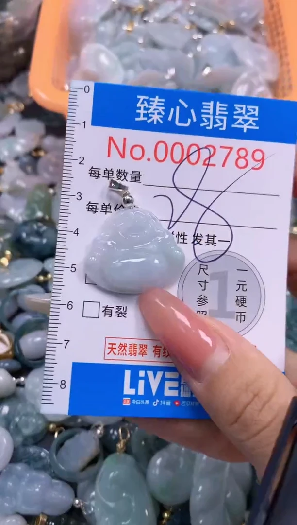 翡翠未镶嵌颈饰2789