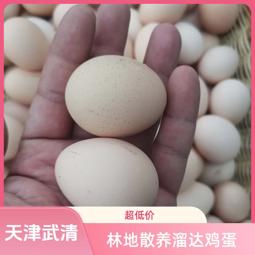 【峥儿专属】正宗新鲜林下散养溜达鸡蛋  现捡现发 京东或顺丰包邮