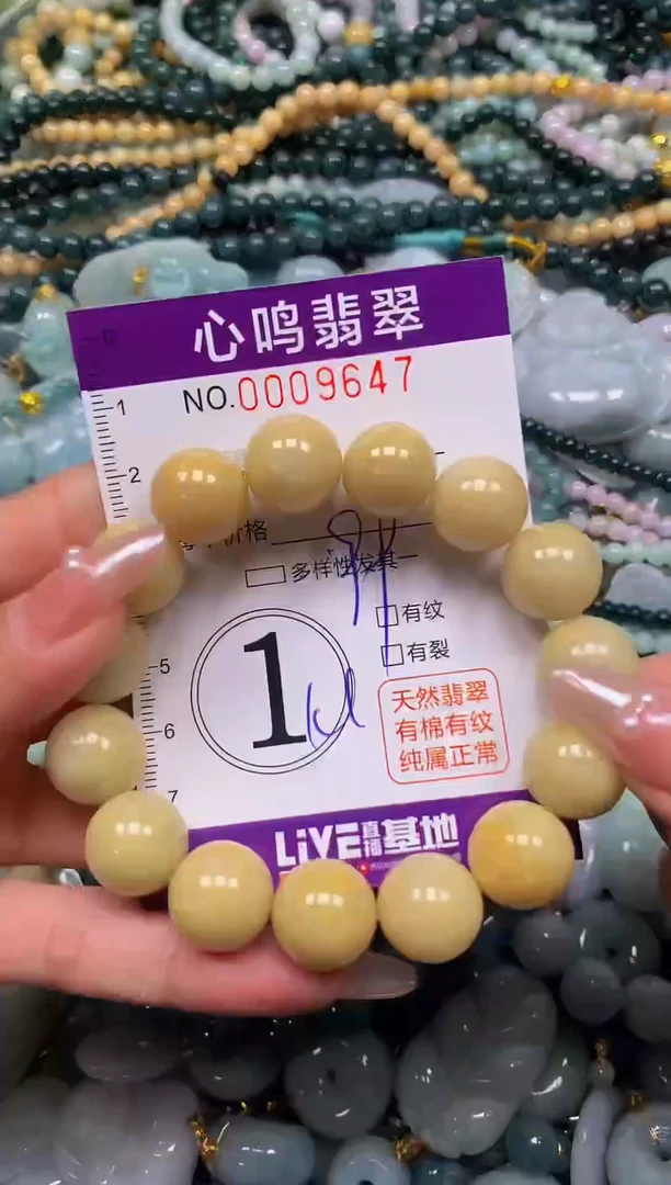 颈饰未镶嵌翡翠闪购009647