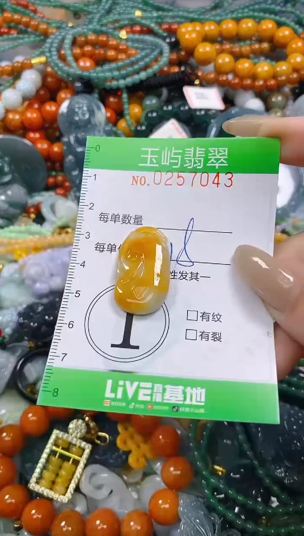 颈饰未镶嵌翡翠闪购0257043