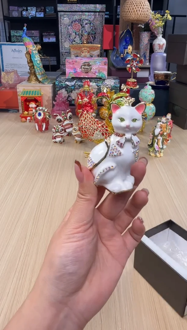 182七宝白色绅士猫